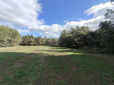 Terreno rustico in vendita a Lledó