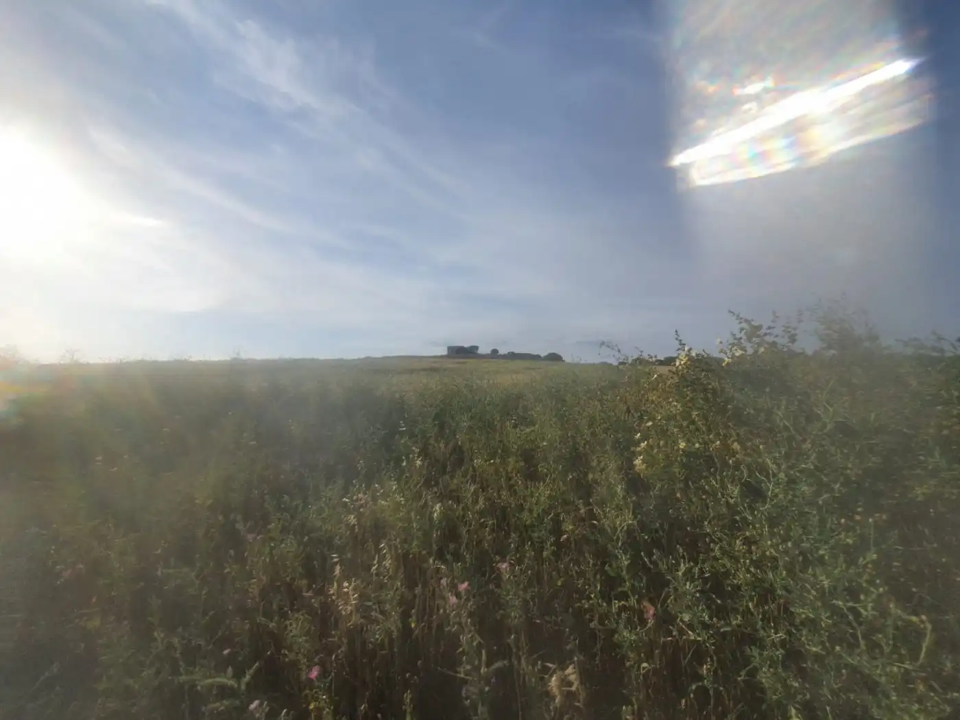 Terrenys i solars en venda a Medina Sidonia, imagen 7