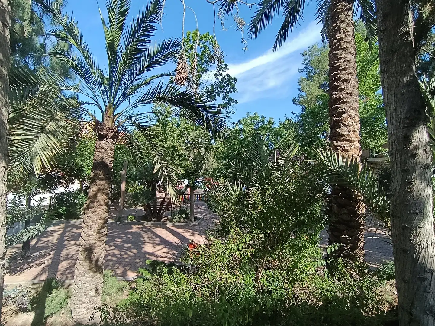 Dúplex en venda a Zona Parque de la Viña, imagen 3