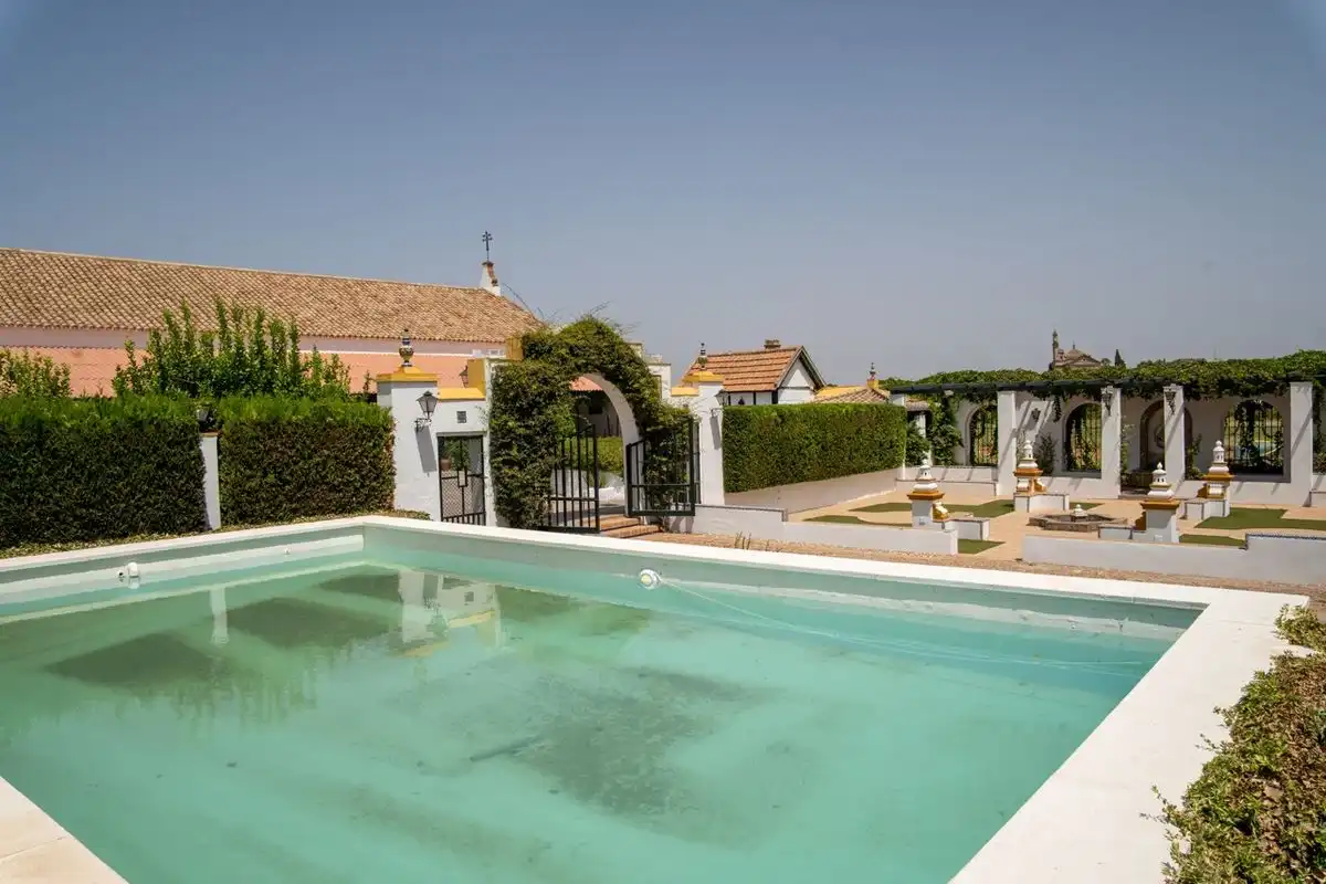 Piscina de Casa o xalet en venda en Espartinas amb Calefacció, Jardí privat i Terrassa