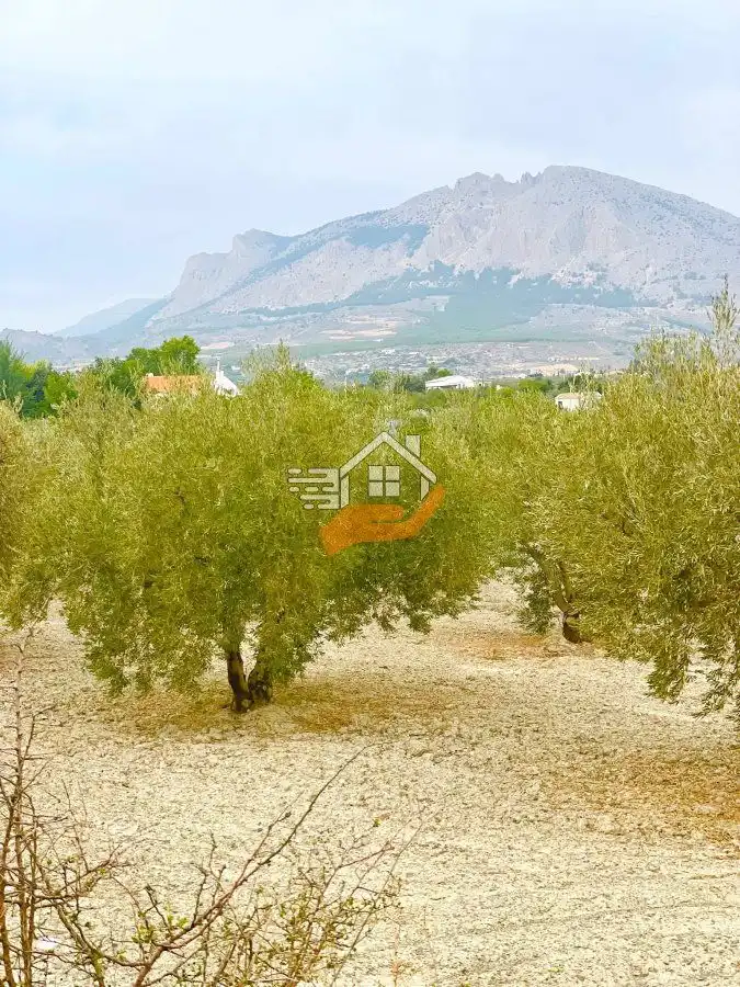 Terrenos y solares en venta en Vélez-Blanco, imagen 4