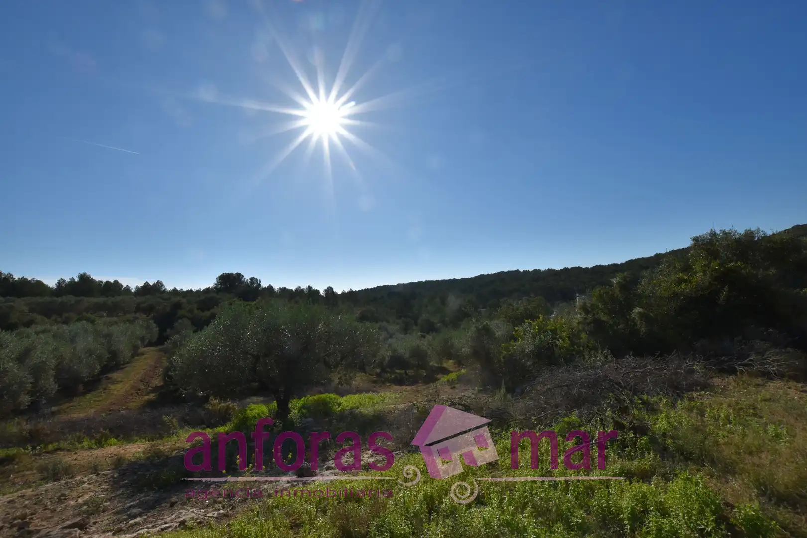 Terreno rustico in vendita a Urbanitzacions de Llevant, imagen 6
