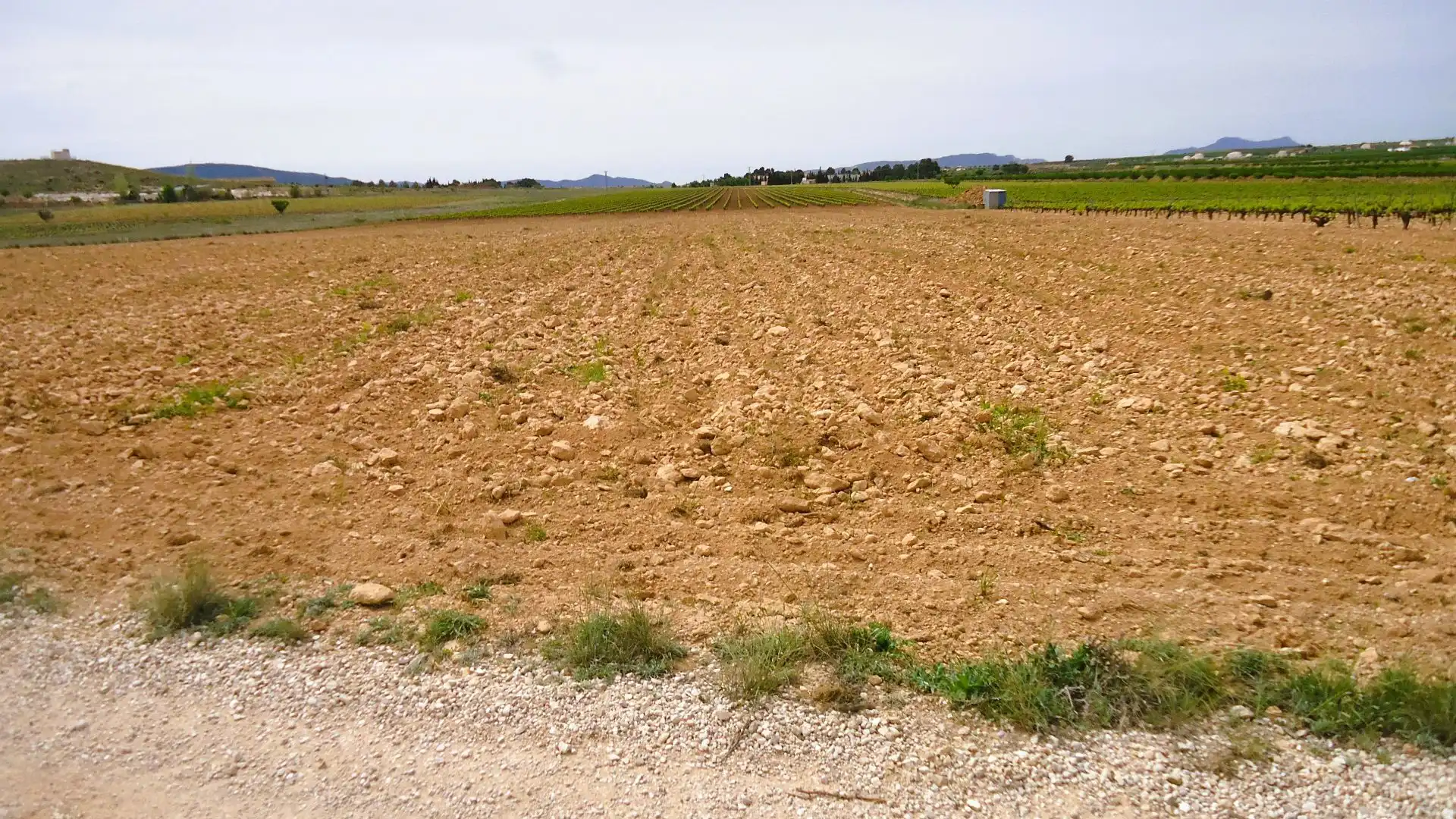 Terreno rústico en venta en El Pinós / Pinoso, imagen 4