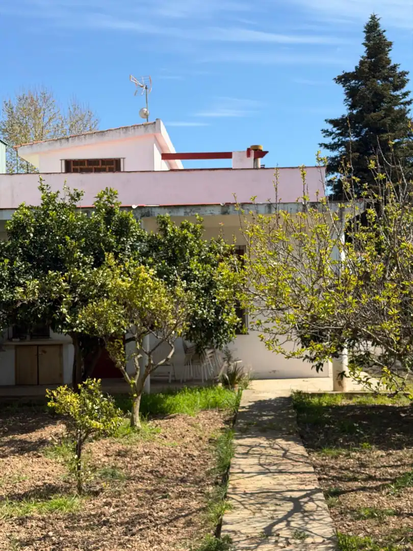 Vista exterior de Casa o xalet en venda en Ulldecona amb Jardí privat i Terrassa