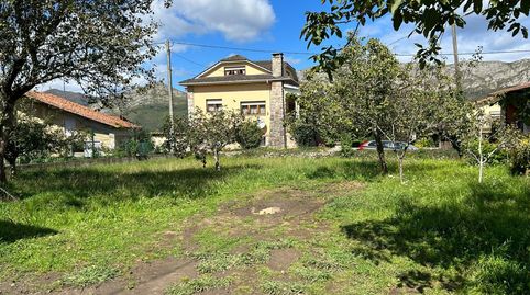 FINCA EDIFICABLE CON HORREO, imatge 5