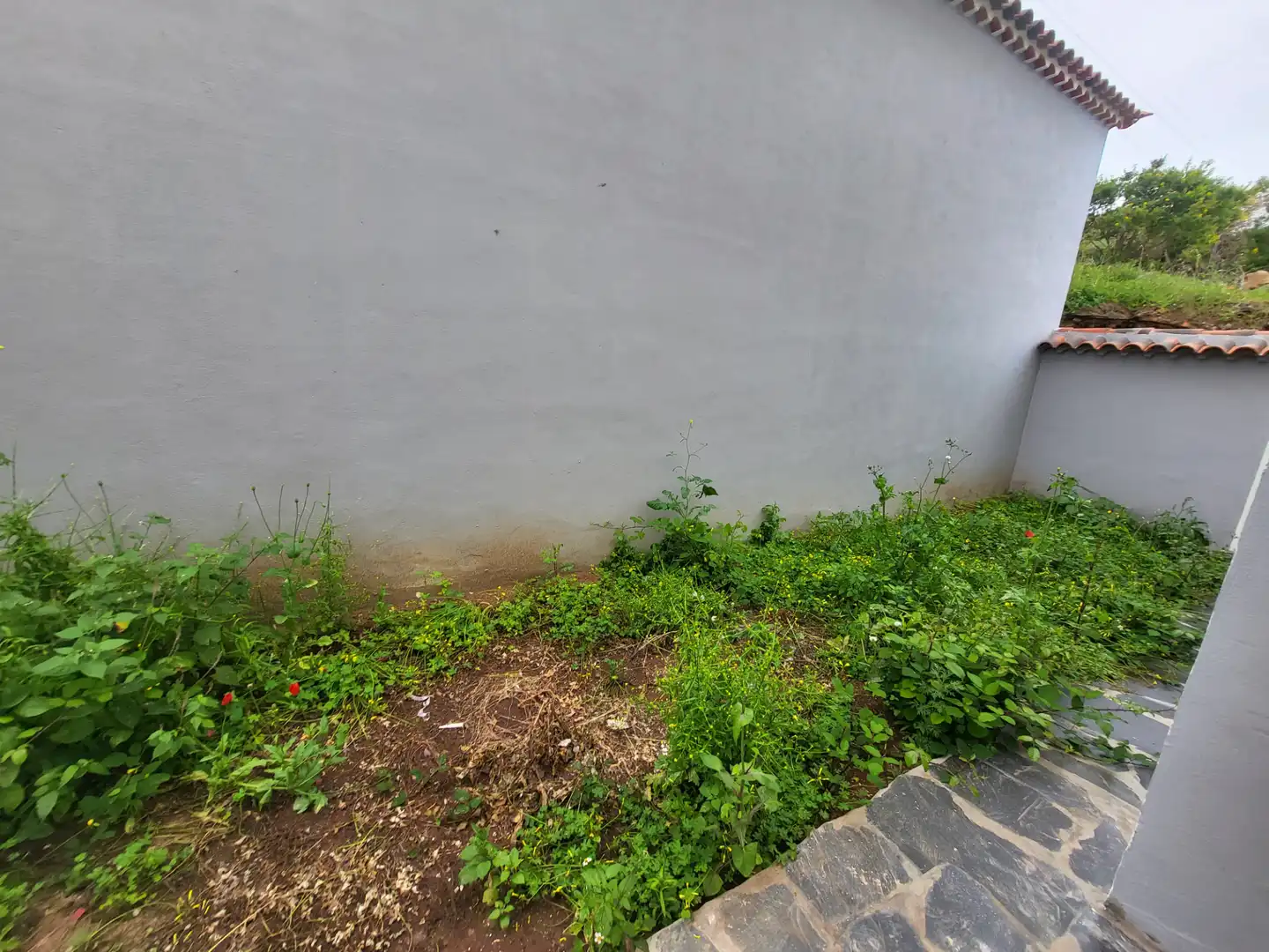Casa o xalet en venda a Santa Úrsula, Santa Cruz de Tenerife