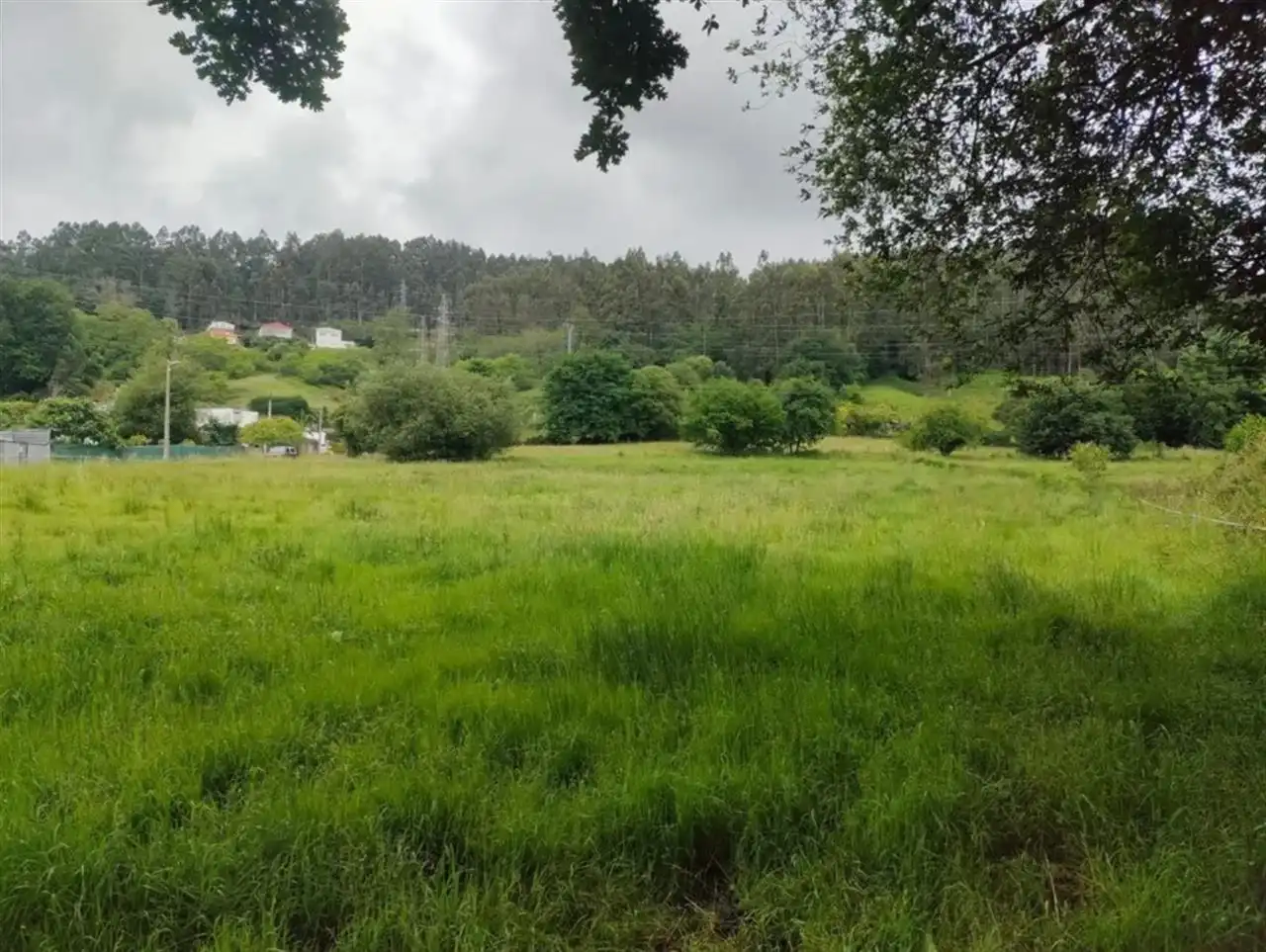 Country homes for sale in Torrelavega , Cantabria