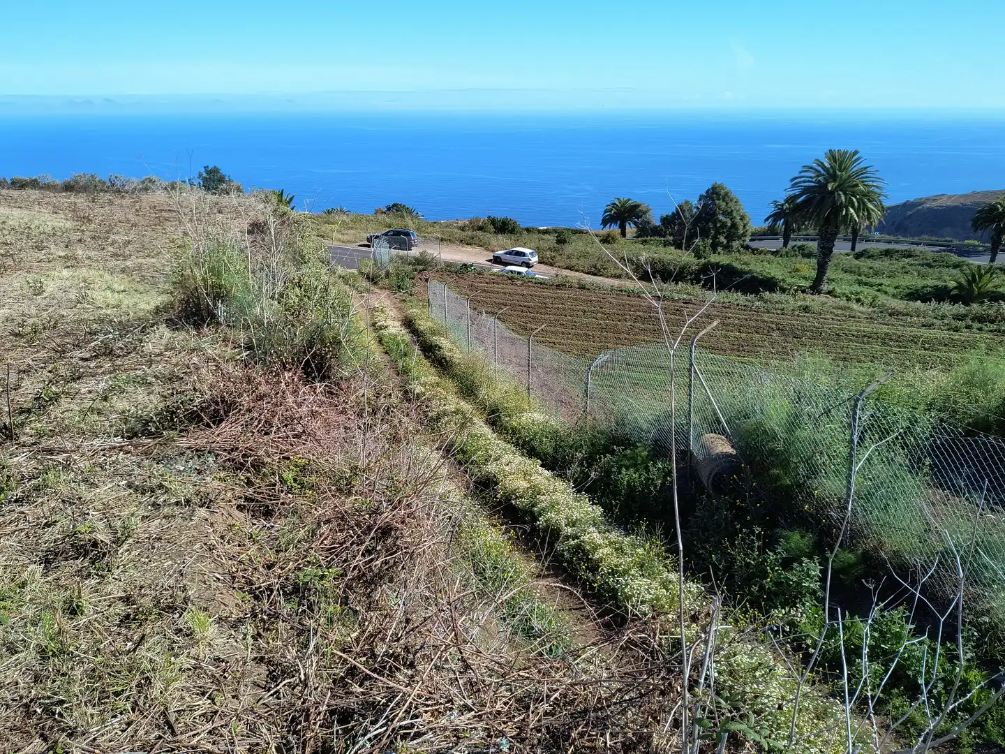 Terreny rústic en venda a Carretera General Ochocientos Veinte 76, imagen 47