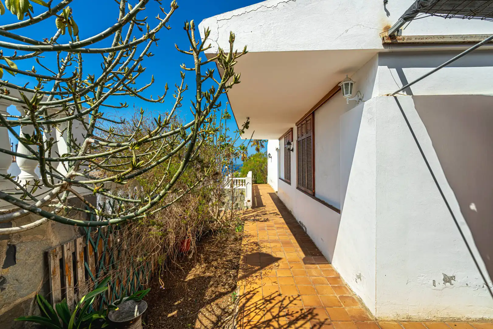 Vista exterior de Casa o chalet en venta en Adeje con Jardín privado y Terraza