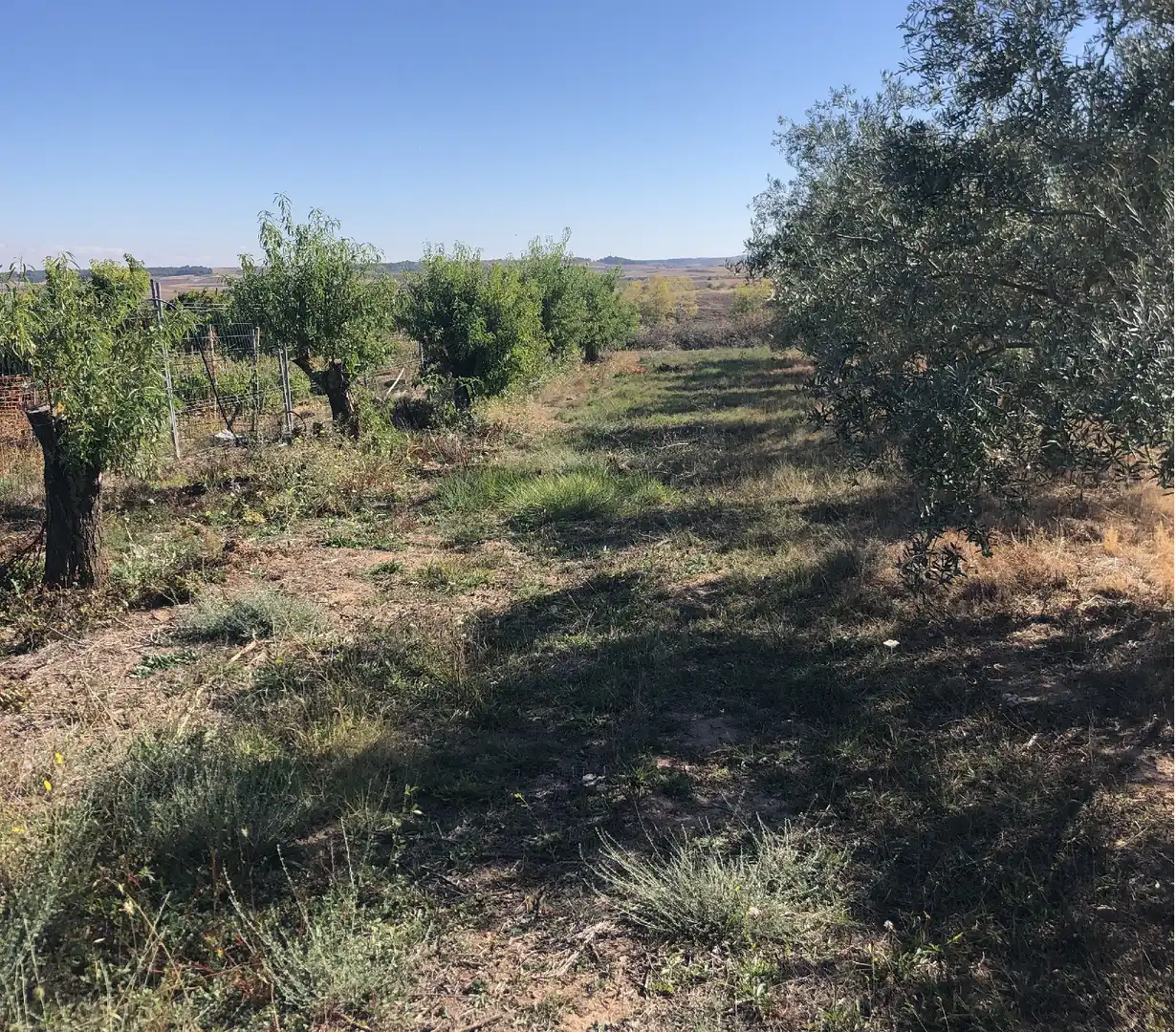 Terrenys i solars en venda a Alberite, imagen 4