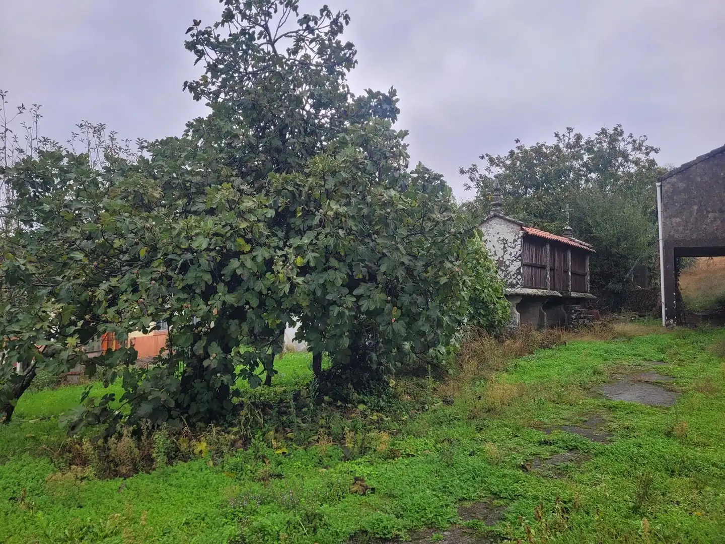 Villa avec jardin à vendre à As Pereiras 8, imagen 37