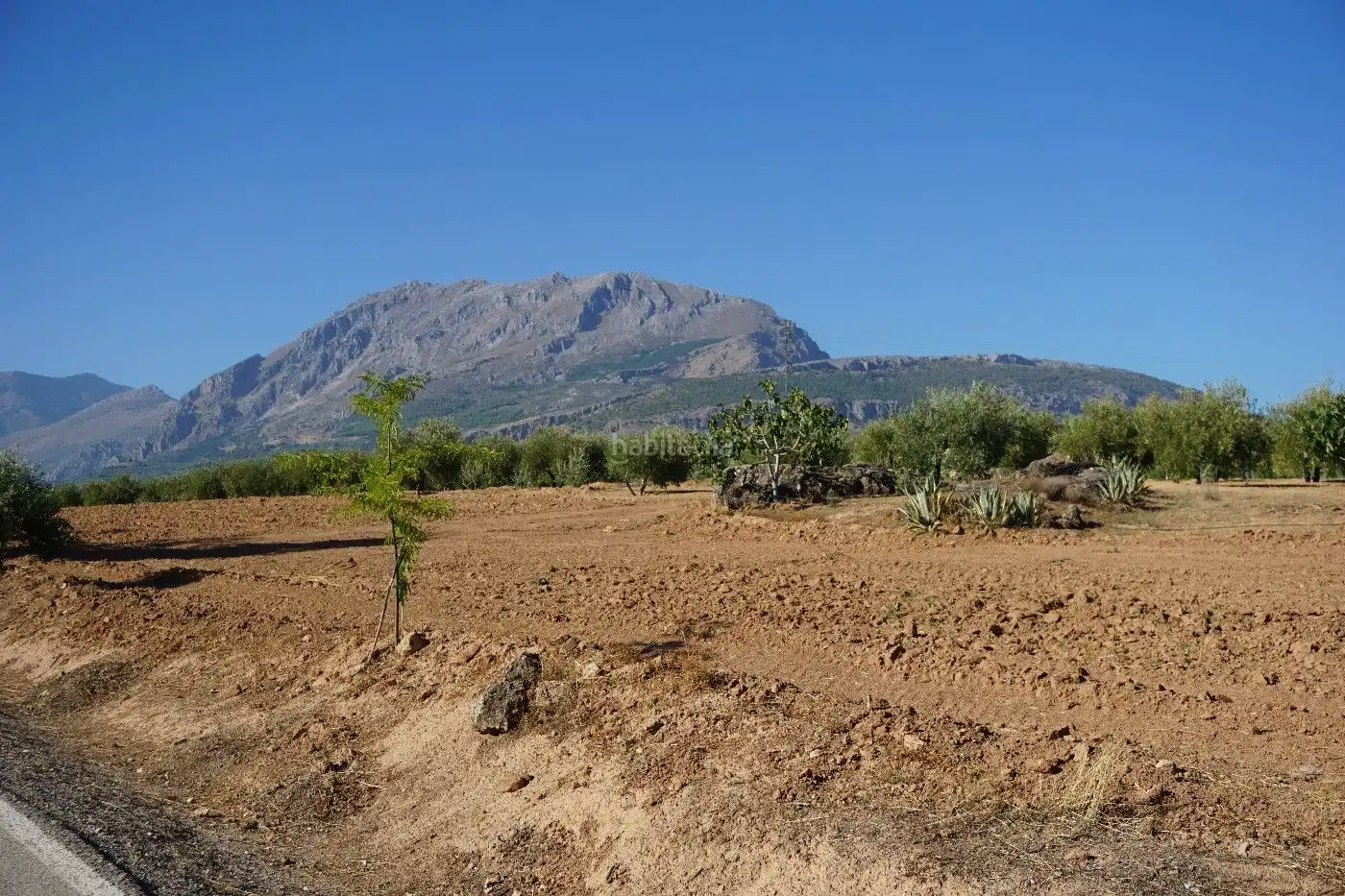 Xalet en venda a Avenida de Andalucía 64, imagen 16