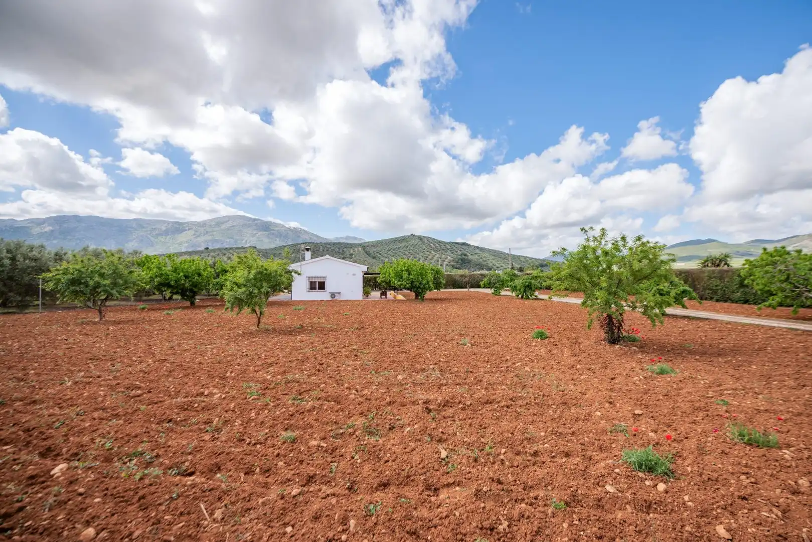 House with garden for sale in Villanueva del Rosario, imagen 48