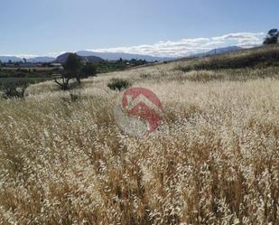 Land for sale in Alhaurín El Grande