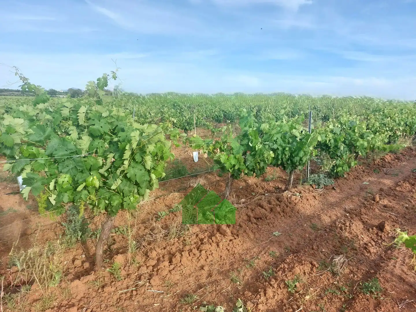 Terreni e lotti in vendita a Guadiana, imagen 2