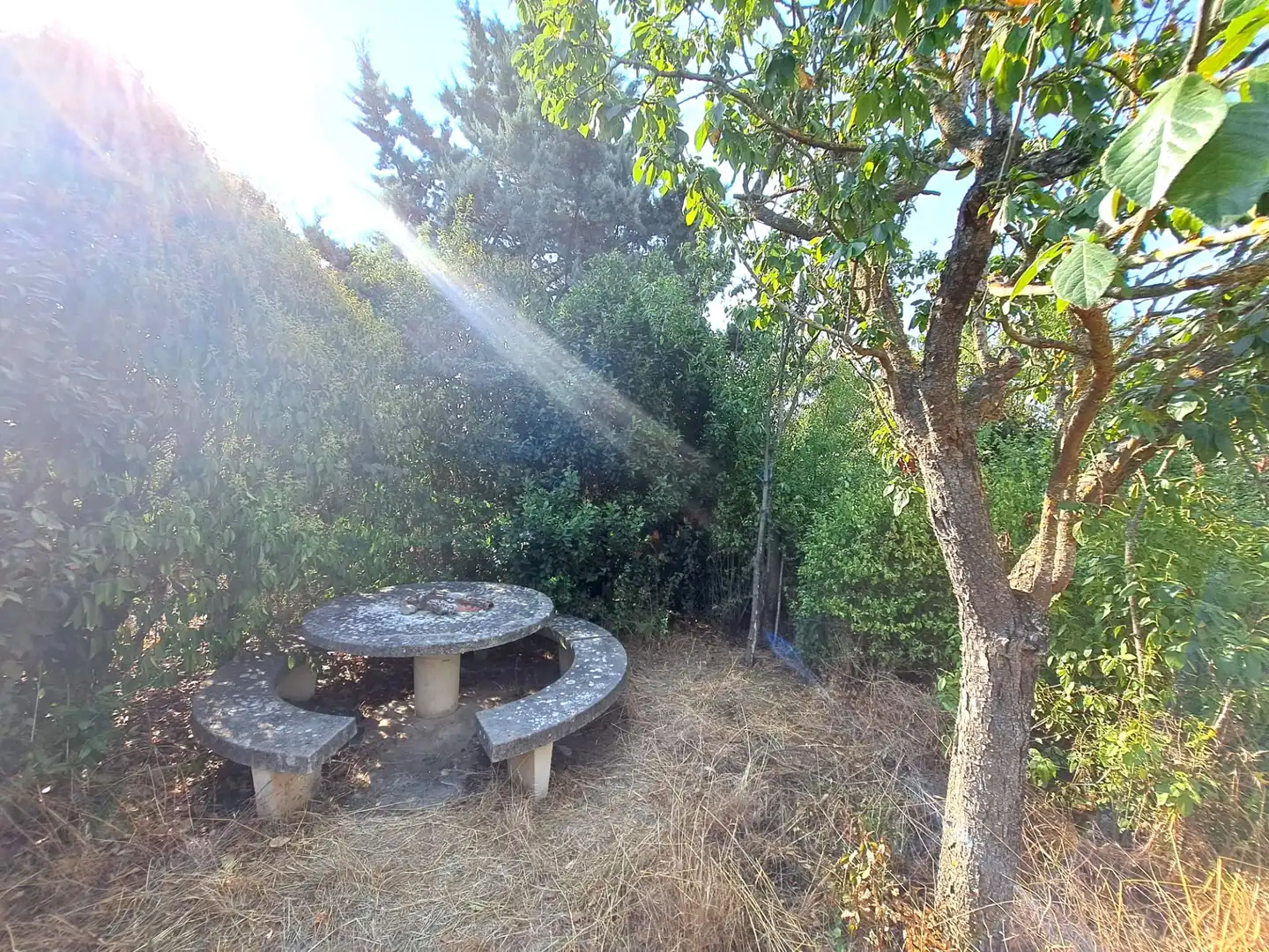 Garden of Residential for sale in Anguciana