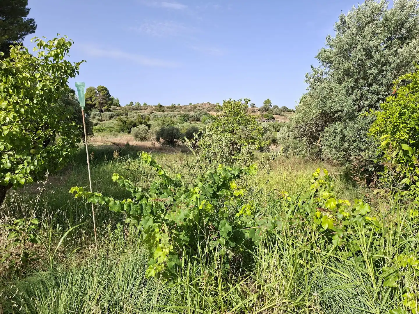 Country homes for sale in Caspe  with Private garden, Swimming Pool and Furnished