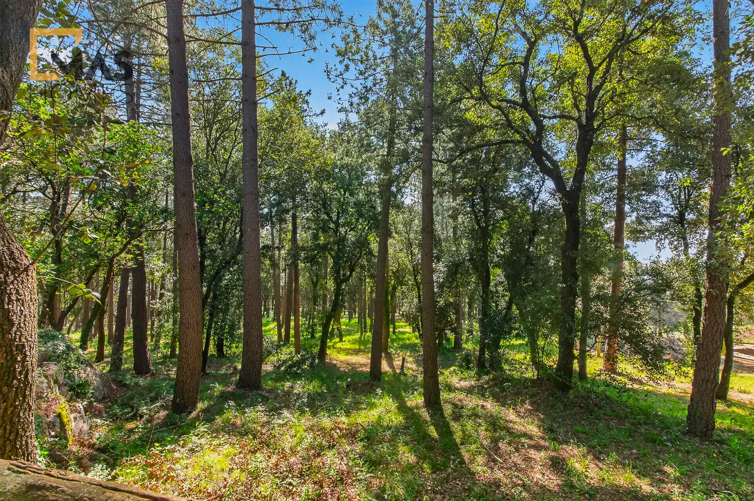 Finca rústica en venda en Arbúcies amb Aire condicionat, Calefacció i Jardí privat