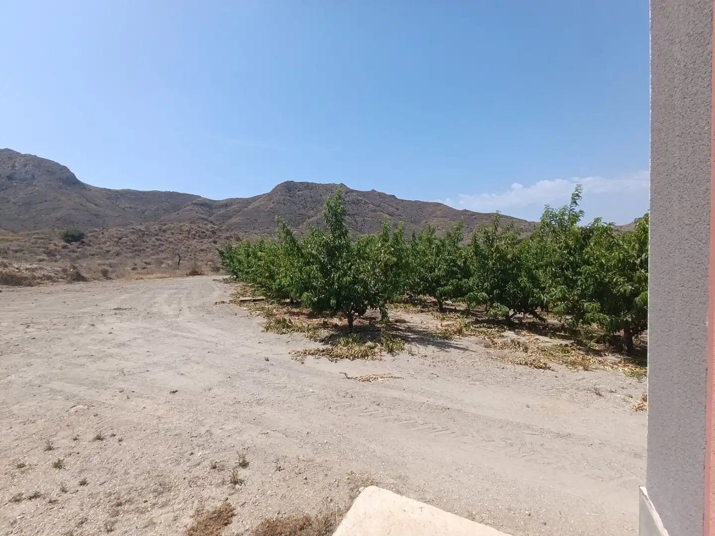 Land for sale in Mazarrón