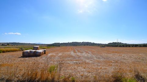 Finca rústica con posibilidad de vivienda en Muro, imatge 4