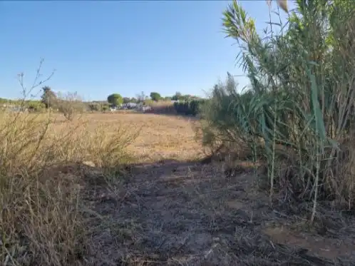 Terreno rústico en venta en Ctra.Portal -Genaro 107, imagen 5