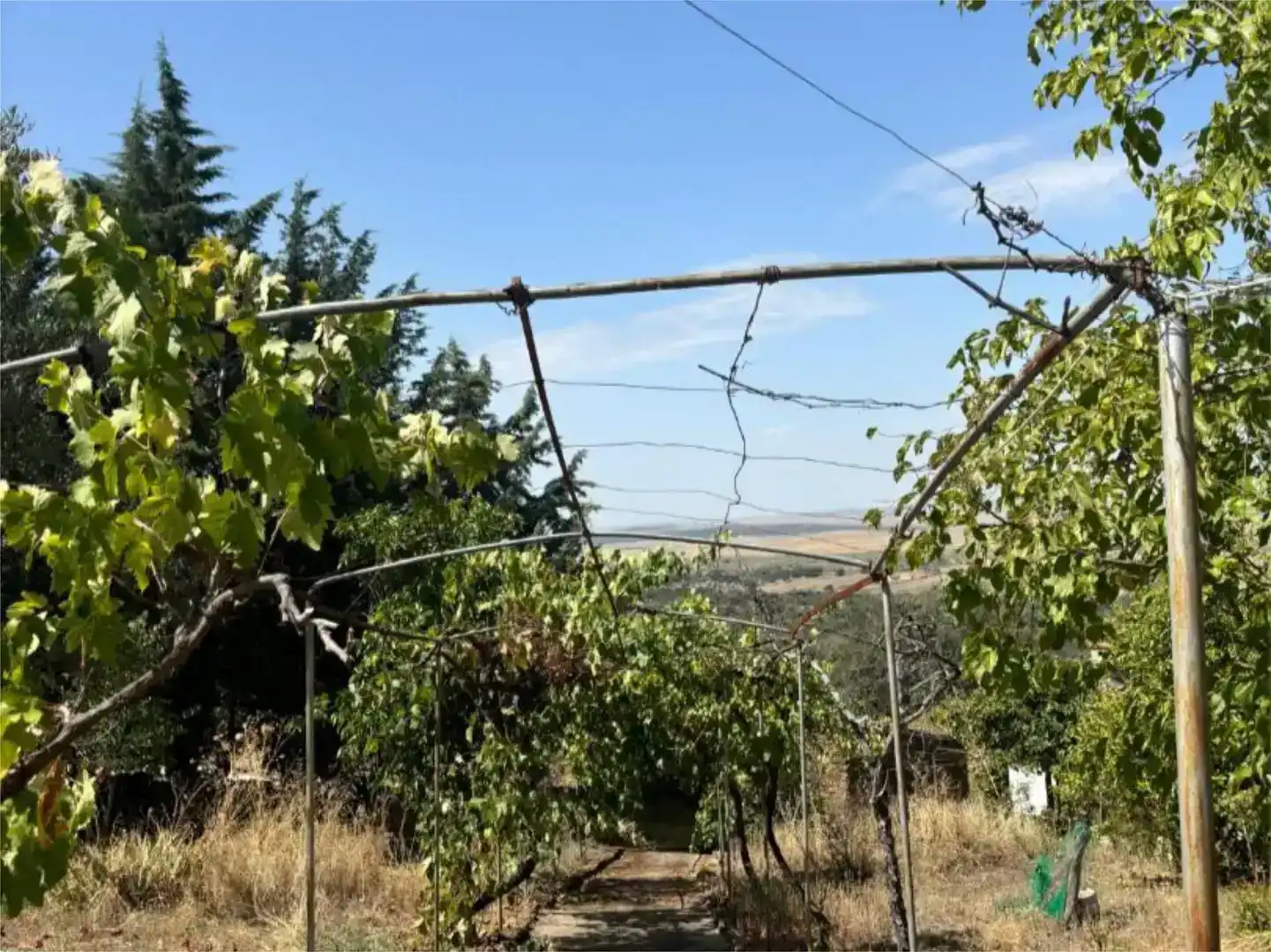 Finca rústica en venda en Madroñera amb Jardí privat, Piscina i Moblat