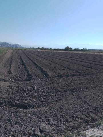 Terreno en Alquiler en Puente de Pinos Puente en Pinos Puente