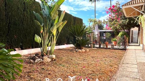 Foto 3 de Casa o chalet en venta en Torrequinto, Alcalá de Guadaira