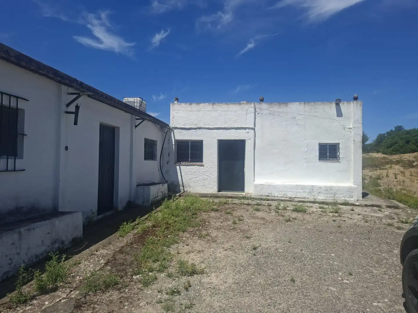 Vista exterior de Finca rústica en venta en Medina Sidonia
