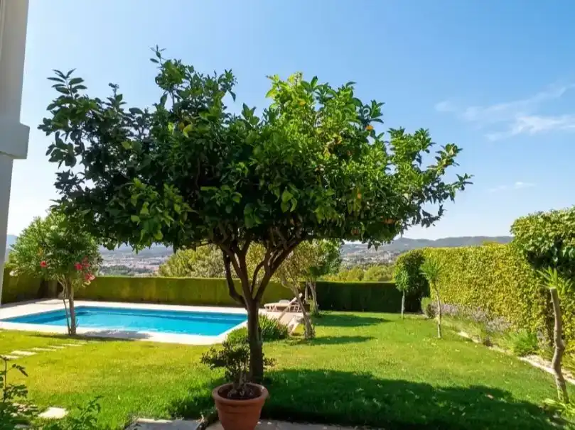 Jardí de Casa o xalet en venda en Caravaca de la Cruz amb Aire condicionat, Piscina i Balcó