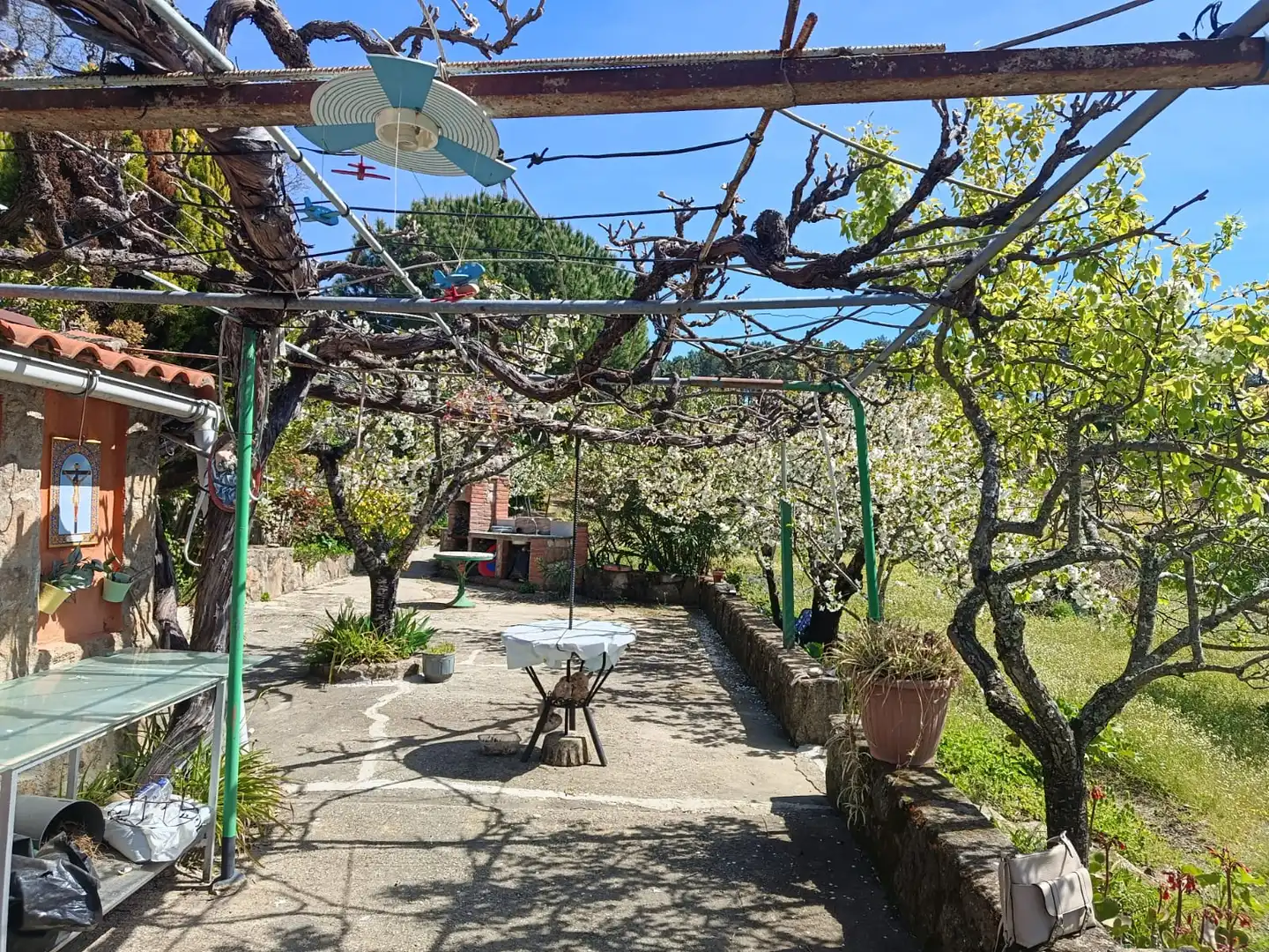 Garden of Land for sale in Jarandilla de la Vera