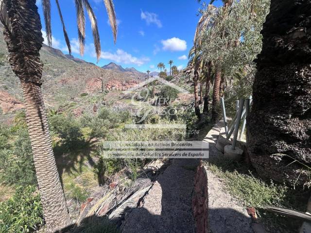 Terreno en Venta en La Sorrueda en Santa Lucía de Tirajana interior