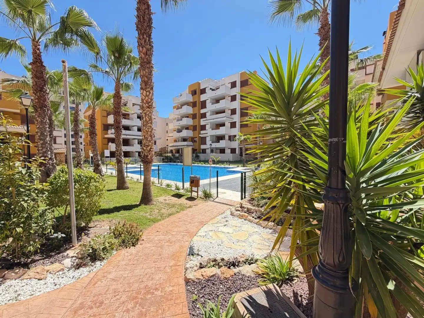 Swimming pool of Apartments for sale in Torrevieja  with Air Conditioner, Private garden and Terrace