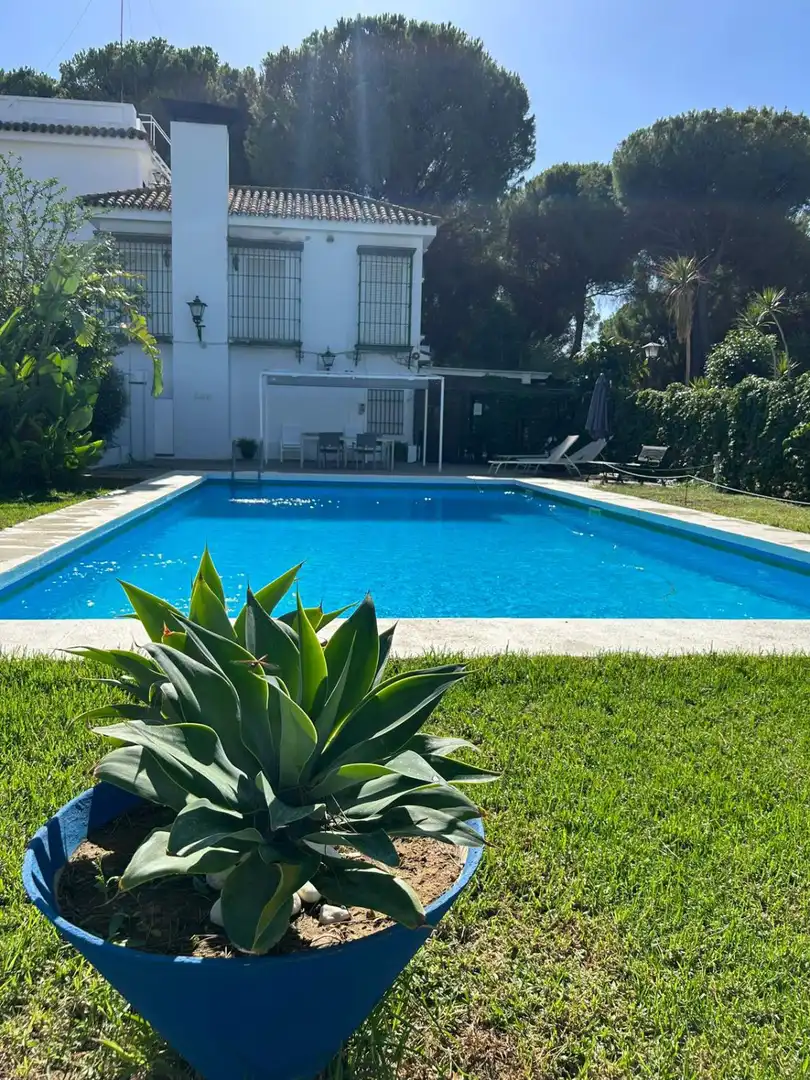 Casa rústica en venda a Arcos de la Frontera, imagen 28