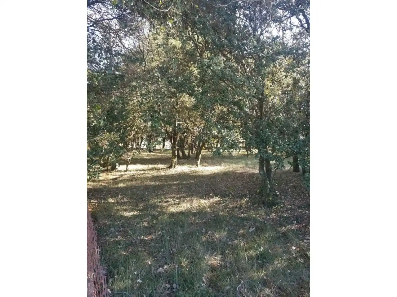 Residential land for sale in Carrer Montseny 52, imagen 2