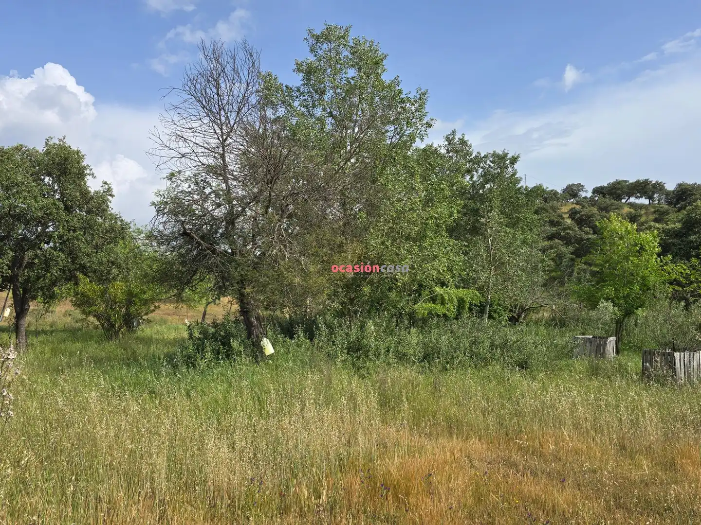 Casa o xalet en venda en Alcaracejos