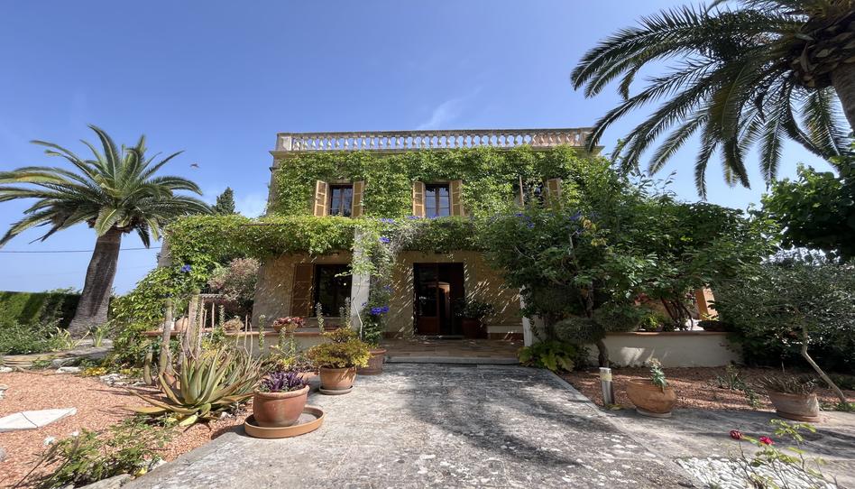 Photo 1 of Country house to rent in Montuïri, Illes Balears