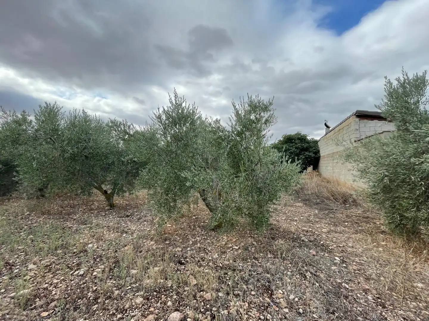 Terreni e lotti in vendita a santa catalina, imagen 9