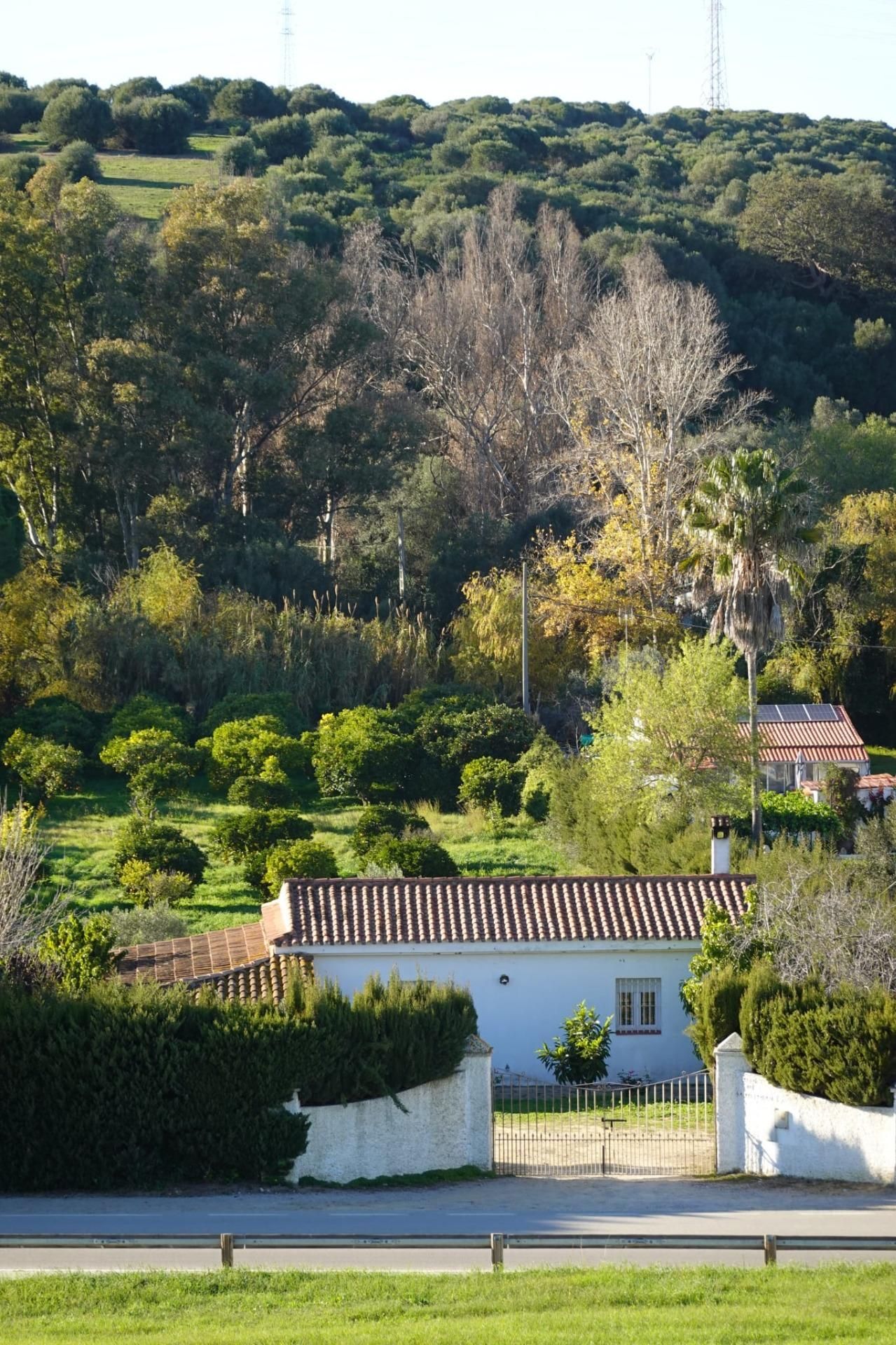Vista exterior de Finca rústica en venda en San Roque