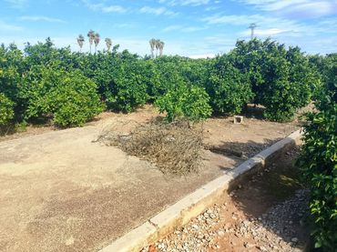 Terreno rústico en venta en Camino Xeraco a Xeresa