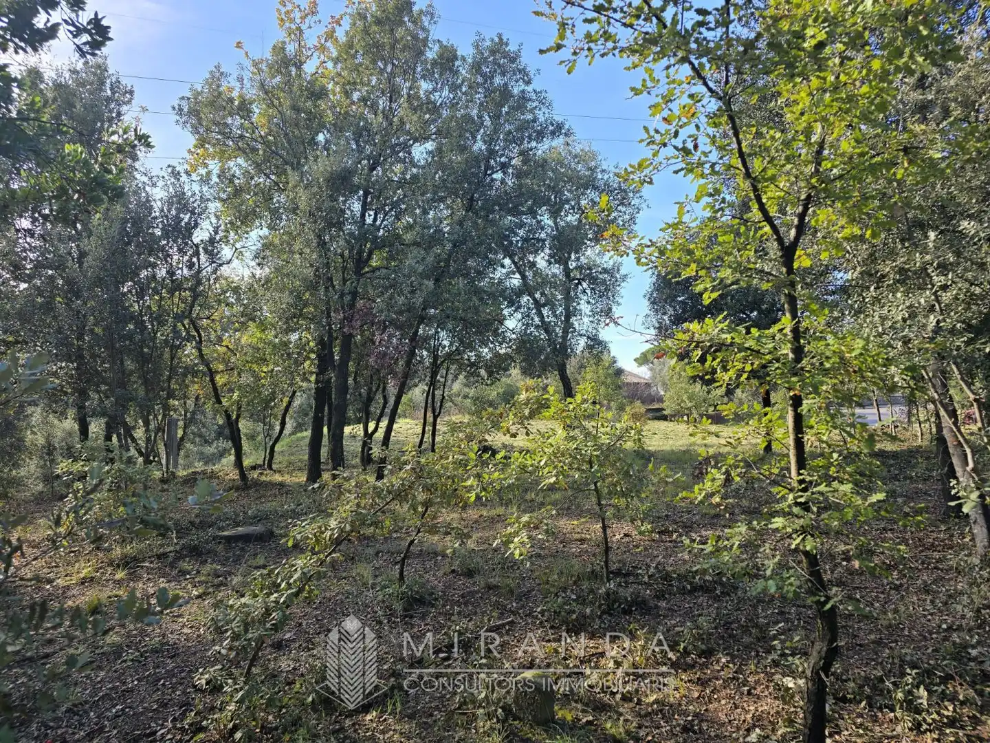 Residential land for sale in Sant come, imagen 3