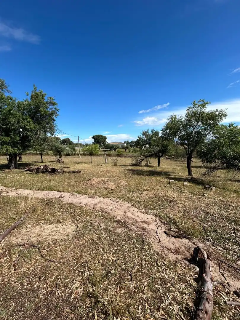 Houses for sale in Arroyo de la Luz  with Air Conditioner, Private garden and Swimming Pool