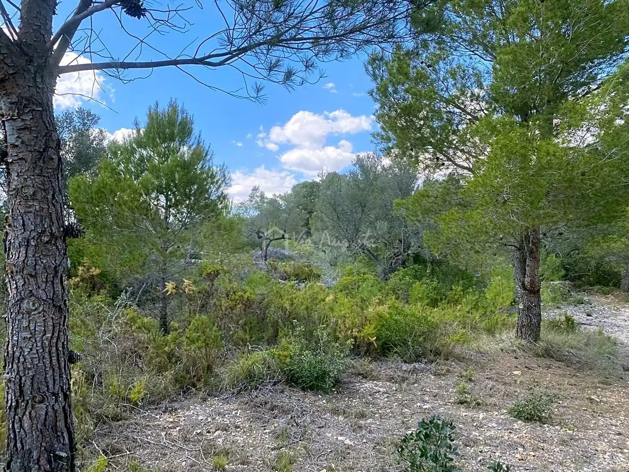 Terreno rustico in vendita a Ligallo de les Bordes, imagen 15
