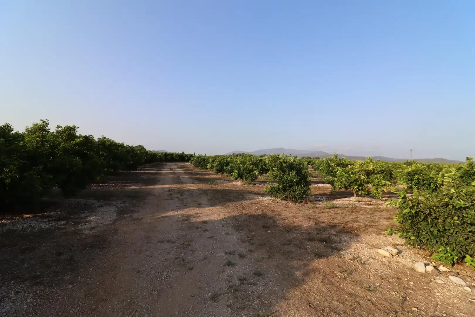 Terreny en venda en Vinaròs