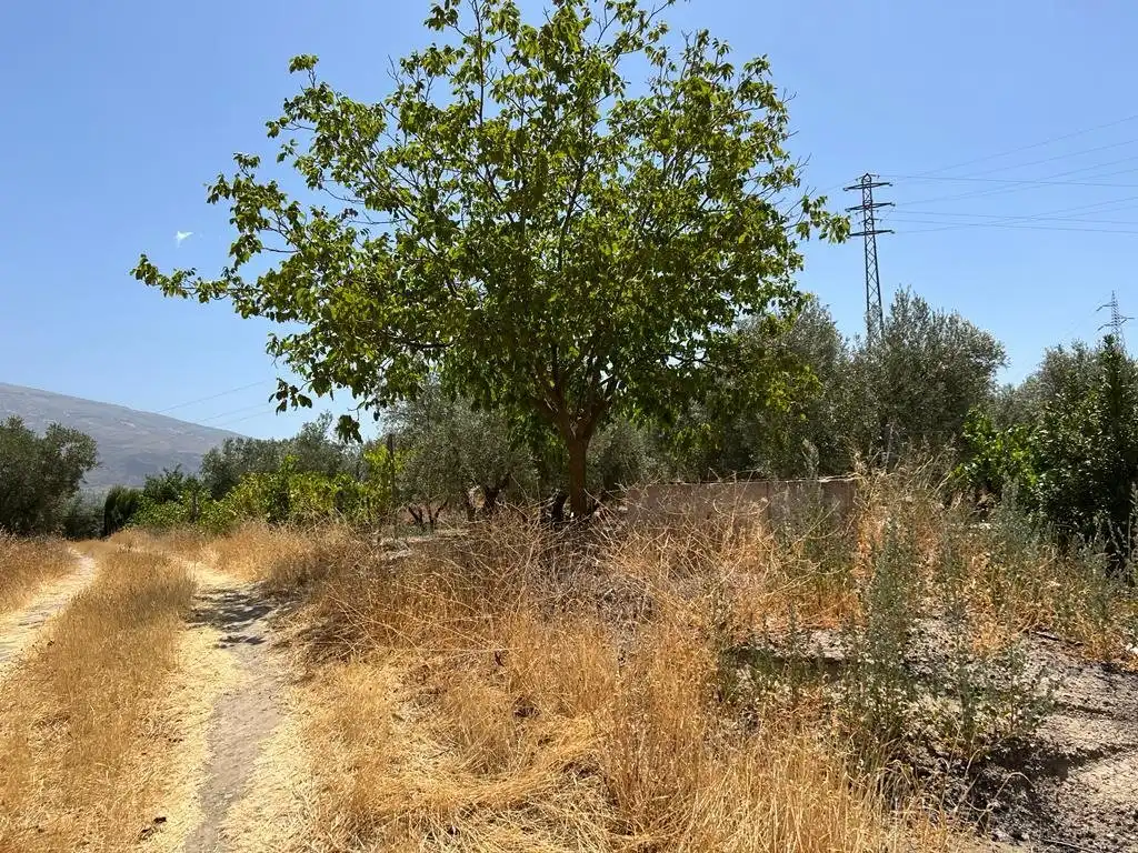 Finca rústica en venda en Villamena