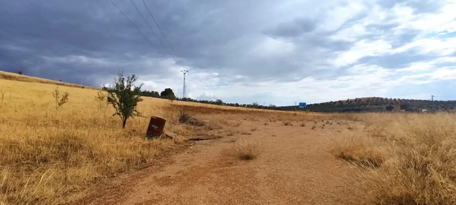 Lands and plots for sale in Valdepeñas, imagen 10