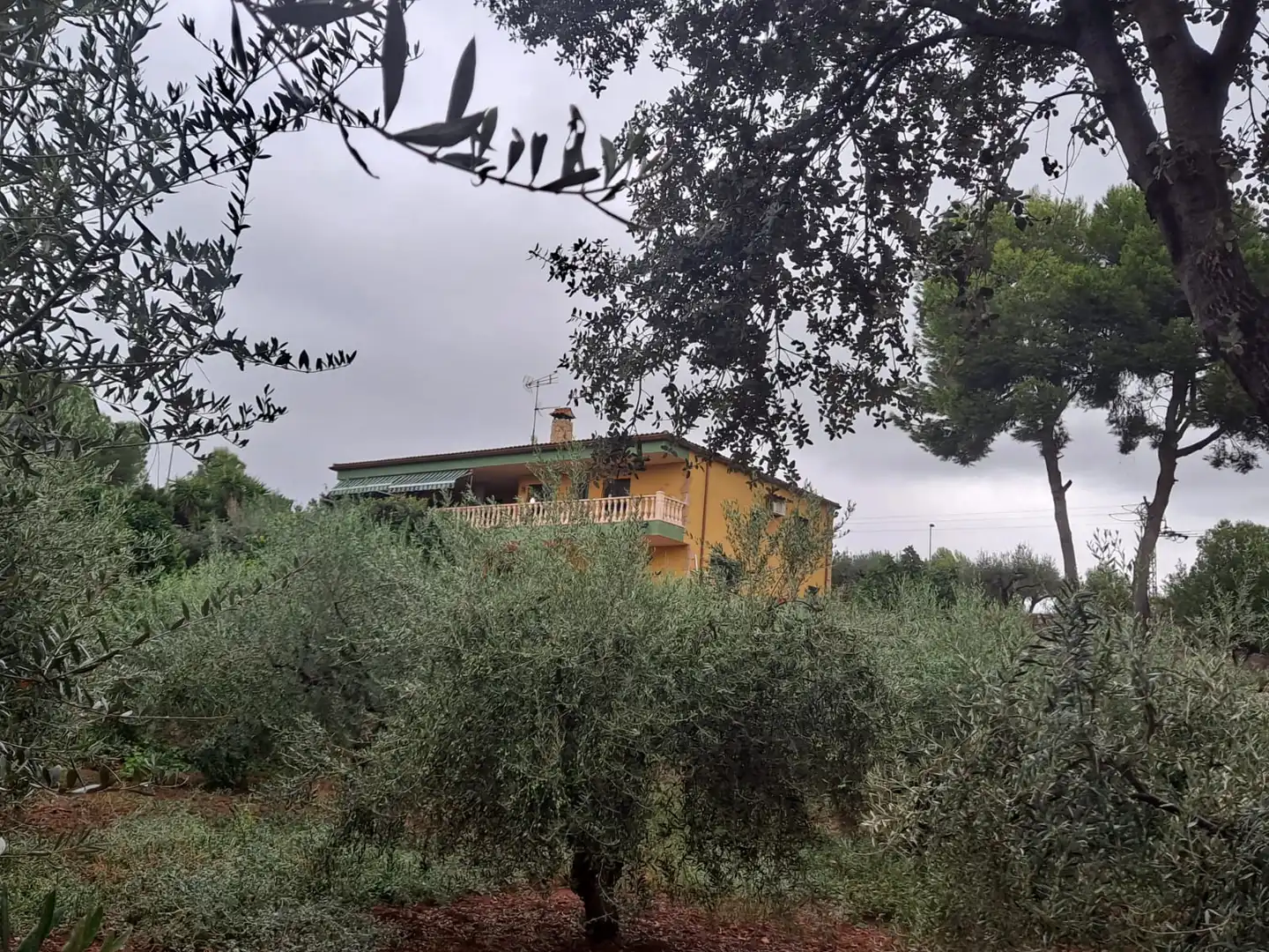 Maison avec terrasse à vendre à Onda, imagen 187