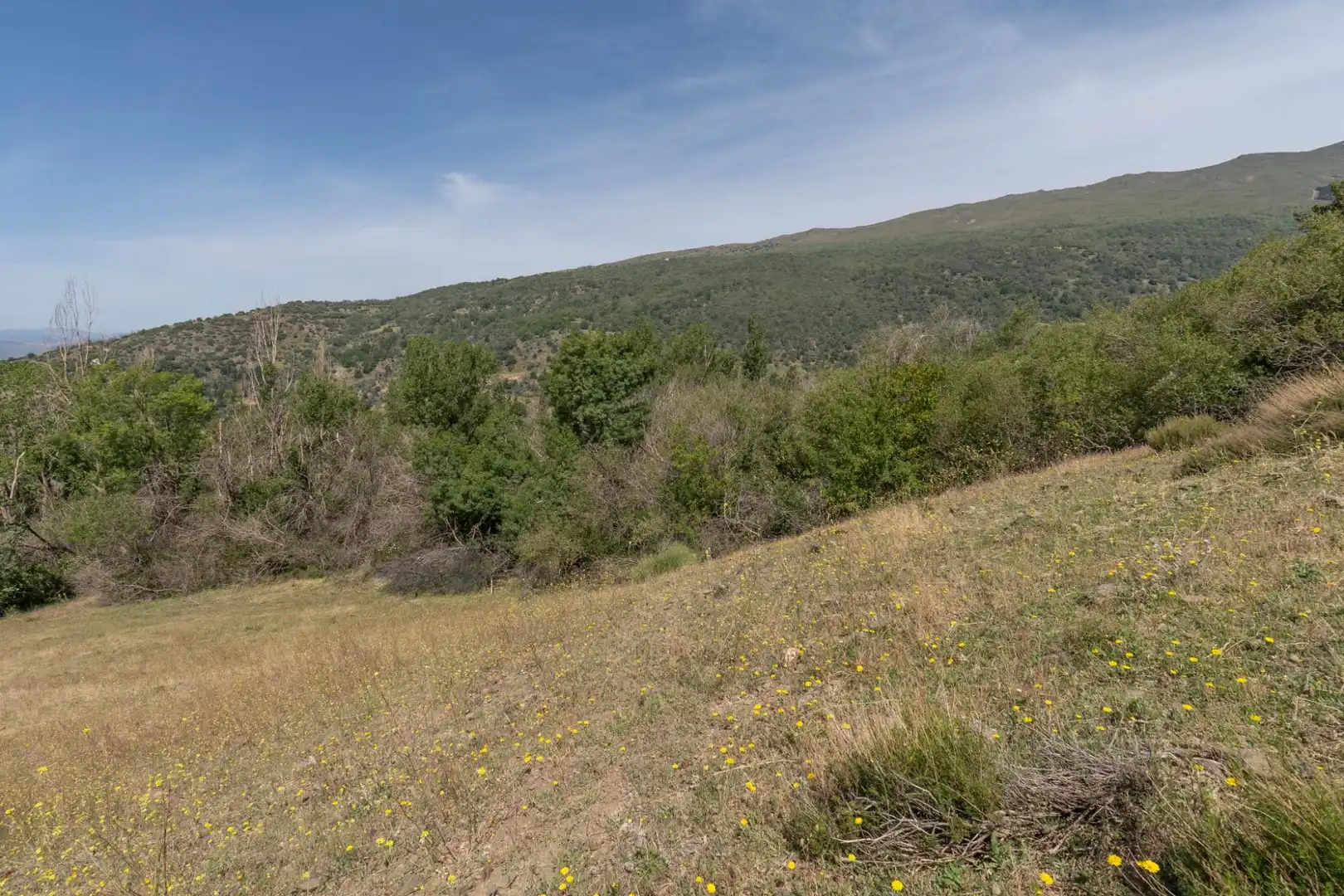 Terreno en venta en Soportújar