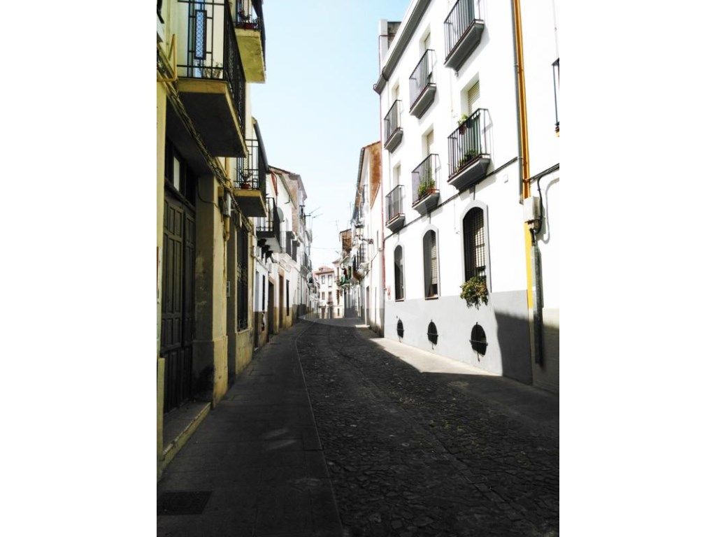 Flat to rent in N/A, Casco Antiguo