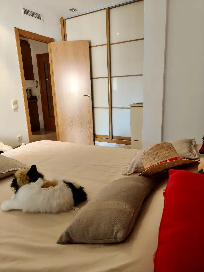Flat for rent in Casco Urbano